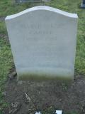 image of grave number 63077